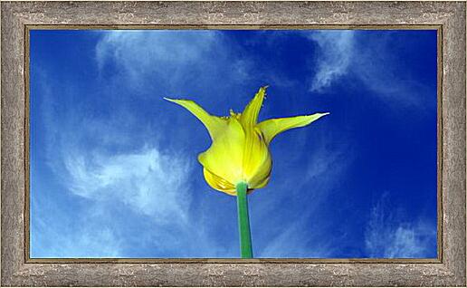 Картина - Желтый тюльпан