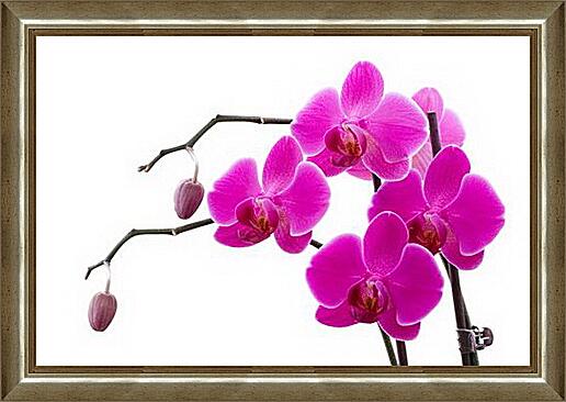 Картина - Орхидея