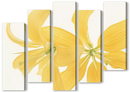 Модульная картина - Нежно-желтые лилии