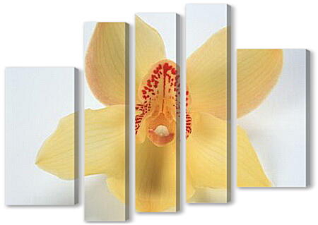 Модульная картина - Оранжевая орхидея