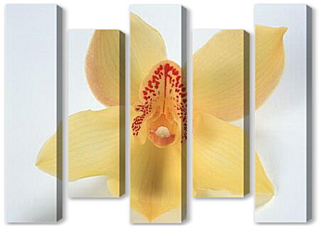 Модульная картина - Оранжевая орхидея