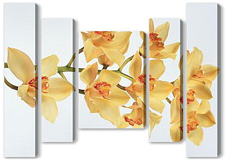 Модульная картина - Желтые орхидеи
