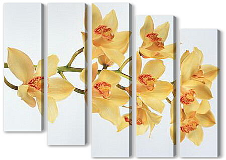 Модульная картина - Желтые орхидеи