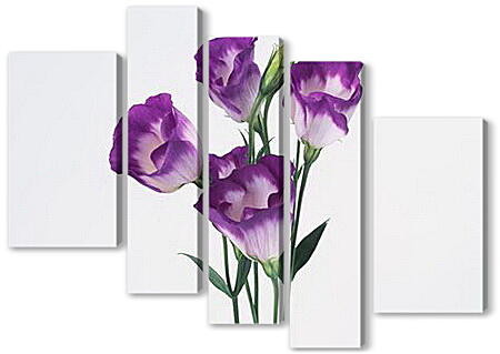 Модульная картина - Фиолетовые цветочки