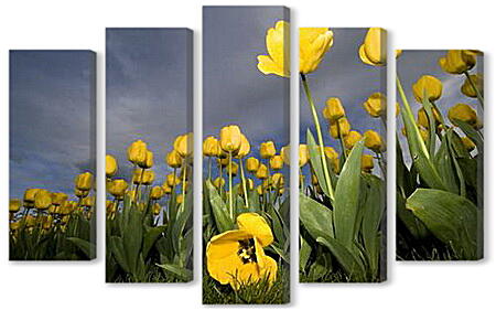 Модульная картина - Желтые тюльпаны