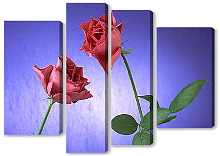 Модульная картина - Две розы