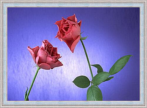 Картина - Две розы