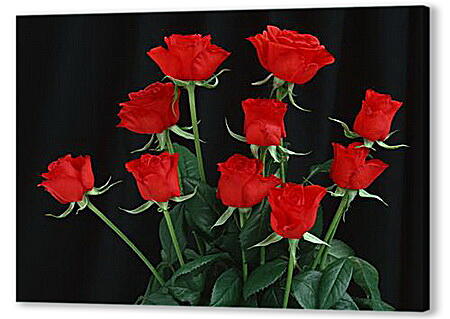 Постер (плакат) - Букет красных роз