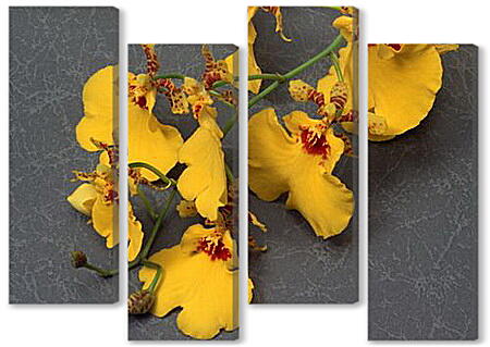 Модульная картина - Веточка желтых орхидей