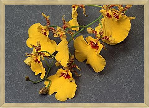 Картина - Веточка желтых орхидей