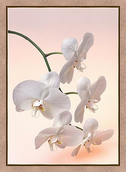 Картина - Белая орхидея