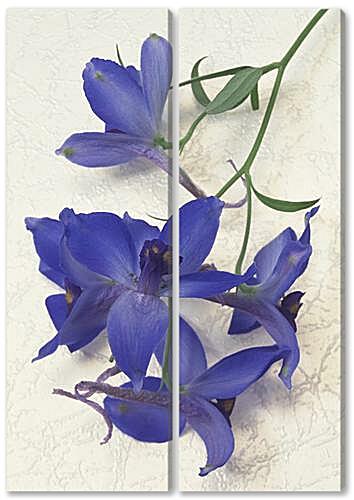 Модульная картина - Фиолетовая орхидея