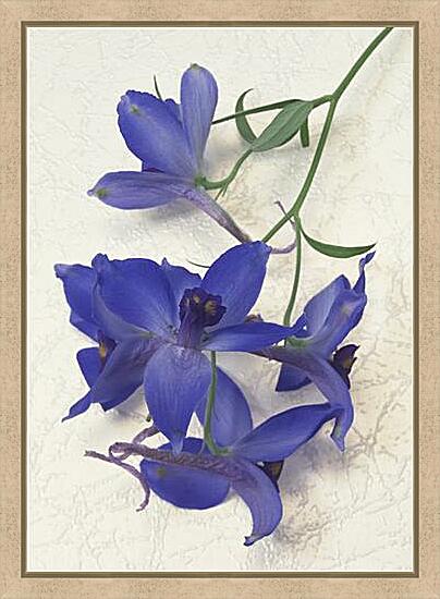 Картина - Фиолетовая орхидея