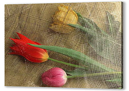 Картина маслом - Тюльпаны под сеткой