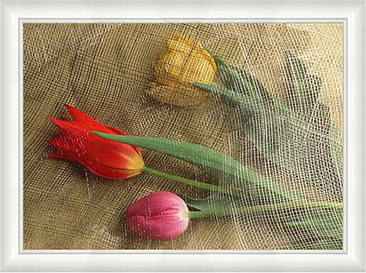 Картина - Тюльпаны под сеткой