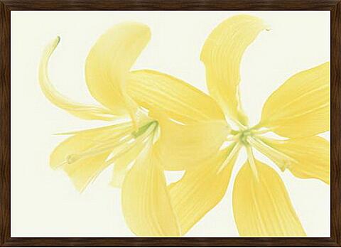 Картина - Желтые лилии