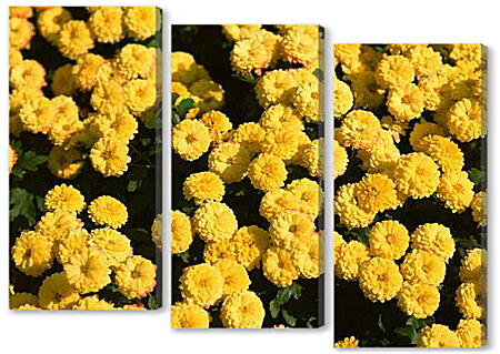 Модульная картина - Желтые цветочки
