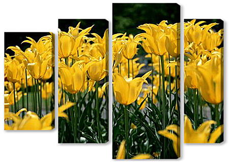 Модульная картина - Желтые тюльпаны