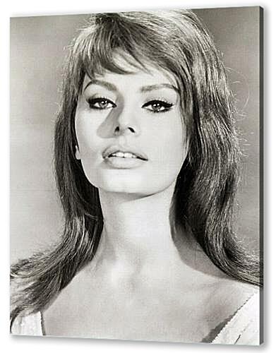 Постер (плакат) - Sophia Loren - Софи Лорен
