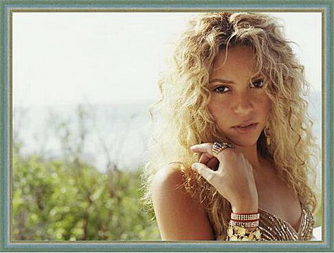 Картина - Shakira - Шакира
