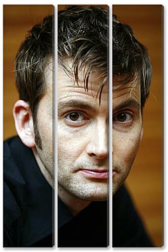 Модульная картина - David Tennant - Дэвид Теннант
