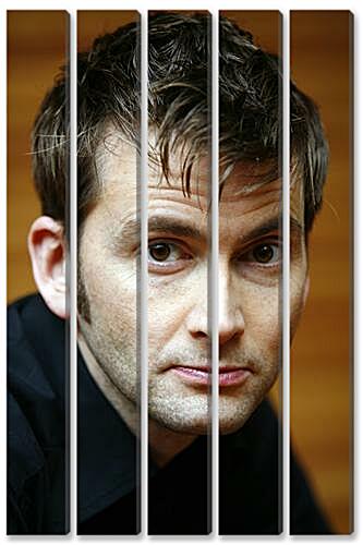 Модульная картина - David Tennant - Дэвид Теннант
