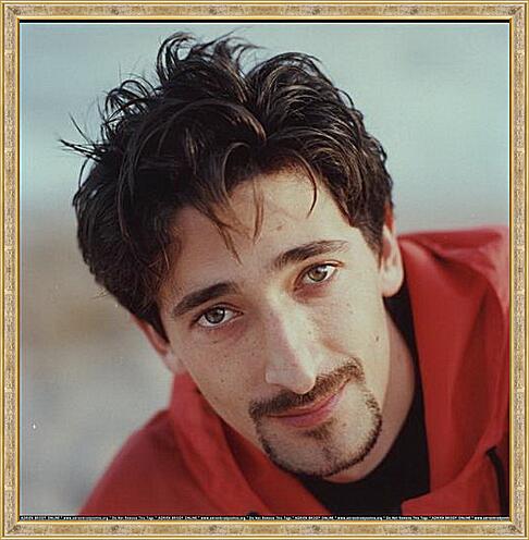 Картина - Adrien Brody - Эдриан Броуди
