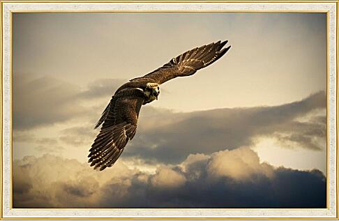 Картина - Орел в небе