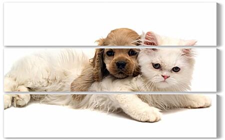 Модульная картина - Кот и собака