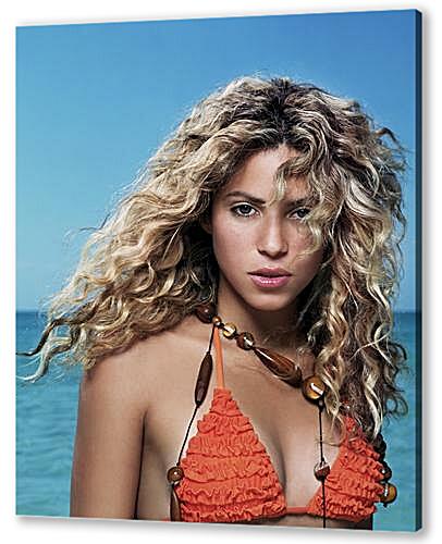 Постер (плакат) - Shakira - Шакира
