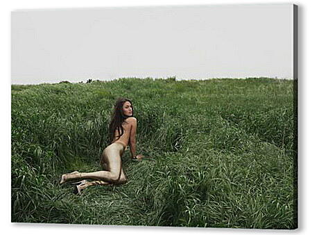 Картина маслом - Megan Fox - Меган Фокс
