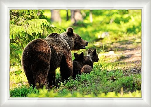 Картина - Медведи. Мама и детеныши