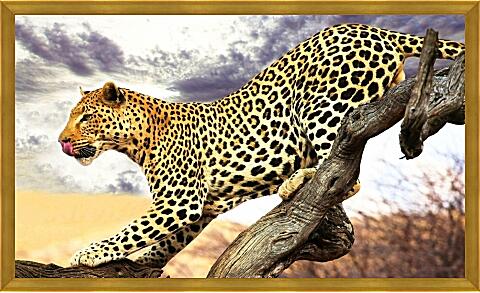 Картина - Леопард