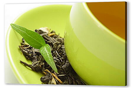 Картина маслом - Чашка зеленого чая