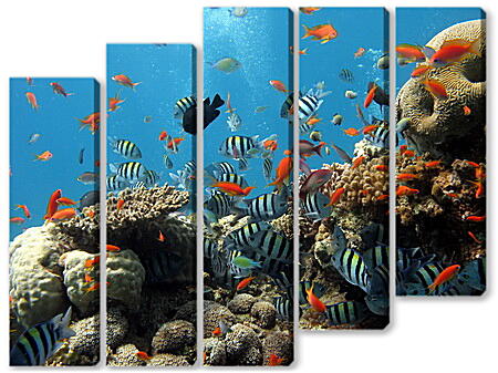Модульная картина - Морской риф
