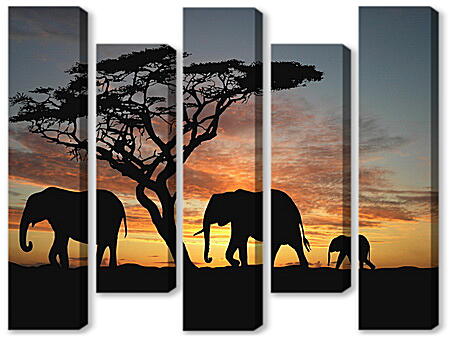 Модульная картина - Семья слонов на закате

