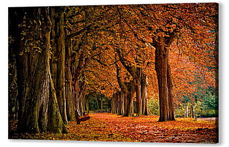 Картина маслом - Осенняя аллея в парке
