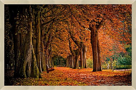 Картина - Осенняя аллея в парке
