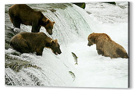 Картина маслом - Медведи на рыбалке
