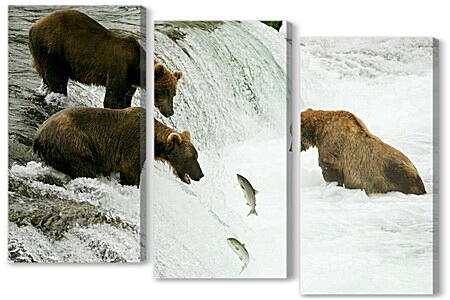 Модульная картина - Медведи на рыбалке
