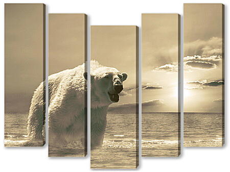 Модульная картина - Белый медведь
