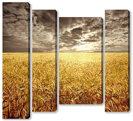 Модульная картина - Поле пшеницы
