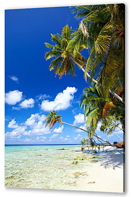 Постер (плакат) - Белый песок карибского берега
