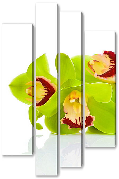 Модульная картина - Орхидея на белом фоне