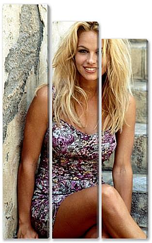Модульная картина - Pamela Anderson - Памела Андерсон
