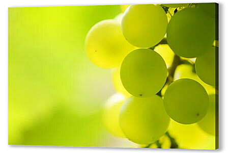 Желтый виноград