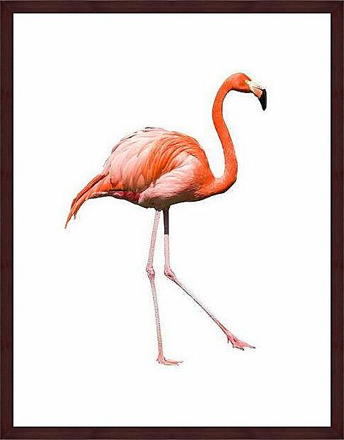 Картина - Фламинго