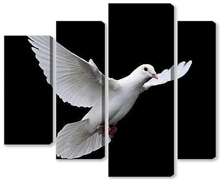 Модульная картина - Голубь