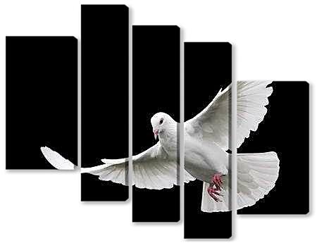 Модульная картина - Белый голубь