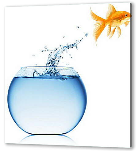 Постер (плакат) - Рыбка прыгает из аквариума

